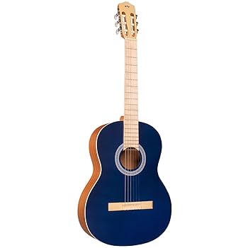Samich C1 クラシックギター Samich C1 クラシックギター Samick Music Signature Series C1